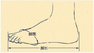 鞋子测量示意图